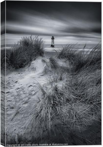 Through the Dunes Canvas Print by jim cooke