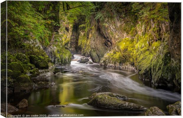 The Fairy Glen Canvas Print by jim cooke