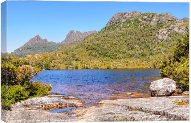 Lake Lilla and  Cradle Mountain - Tasmania Canvas Print by Laszlo Konya