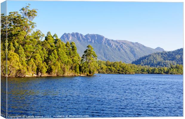 Lake Rosebery in the West Coast Region of Tasmania Canvas Print by Laszlo Konya