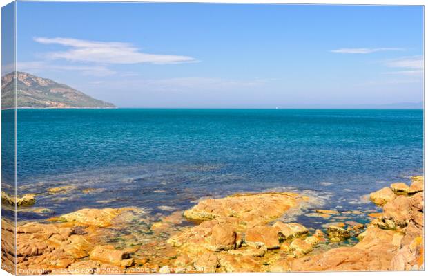 Red rocks and blue water - Coles Bay Canvas Print by Laszlo Konya