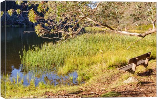 On the shore of Lake Catani - Mount Buffalo Canvas Print by Laszlo Konya