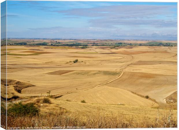 View backward from Alto Mostelares - Castrojeriz Canvas Print by Laszlo Konya