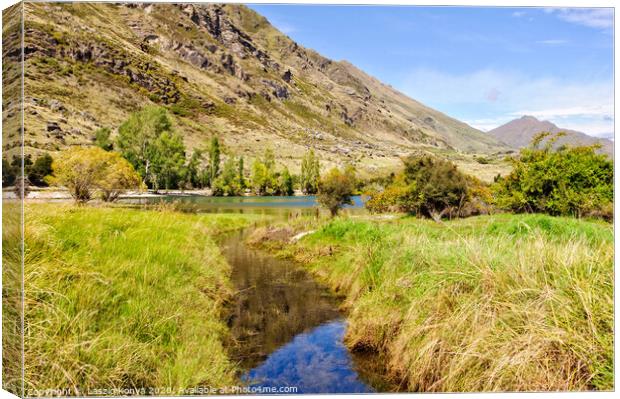 Creek - Wanaka Canvas Print by Laszlo Konya