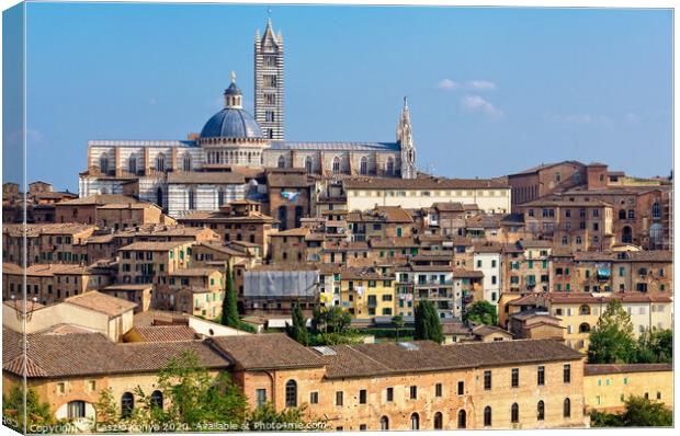 Duomo from the Medici Fortress - Siena Canvas Print by Laszlo Konya