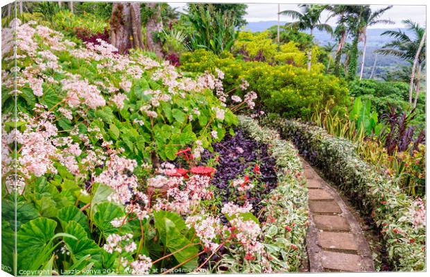 The Summit Gardens - Port Vila Canvas Print by Laszlo Konya