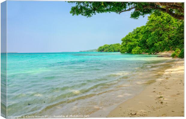 Beach - Espiritu Santo Canvas Print by Laszlo Konya