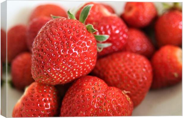 Home grown Strawberries Canvas Print by Ian Turnell