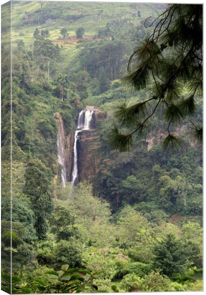 Rain forest waterfall Sri Lanka Canvas Print by Ian Turnell