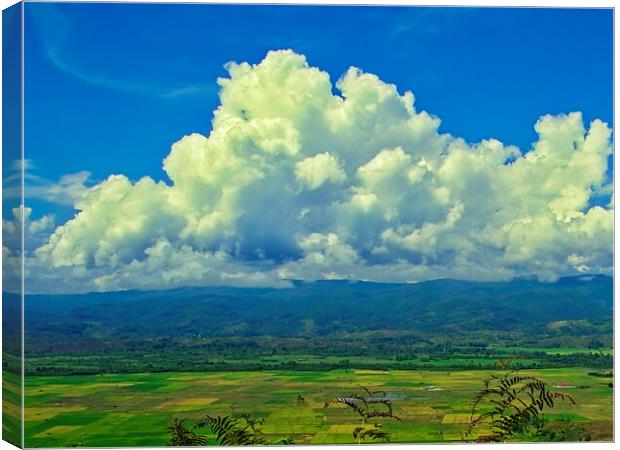 cumulus cloud Canvas Print by John Lusikooy