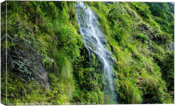 A large waterfall in a forest Canvas Print by Sanjeev Thapa Magar