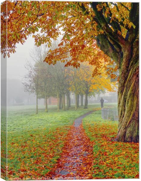 A jogger out for a run in the park during a misty Autumn day Canvas Print by Iain McLeod