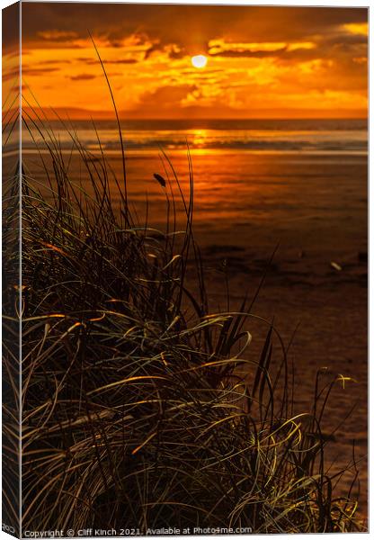 Distant Tide Canvas Print by Cliff Kinch