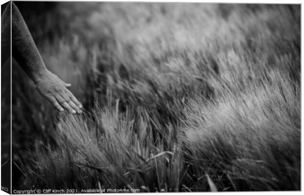 The touch of barley Canvas Print by Cliff Kinch