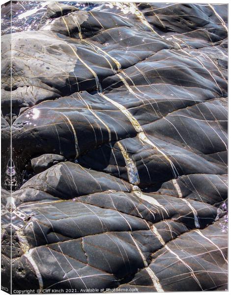 Glistening sea-washed rocks Canvas Print by Cliff Kinch