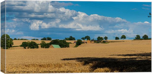 Serene Summer Wheat Field Canvas Print by Cliff Kinch
