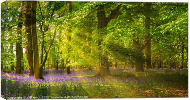 Enchanting Bluebells in a Lush Woodland Canvas Print by Cliff Kinch