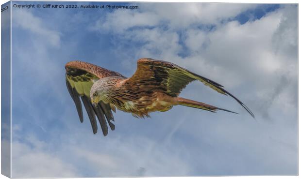 Majestic Red Kite Soars Across the Sky Canvas Print by Cliff Kinch