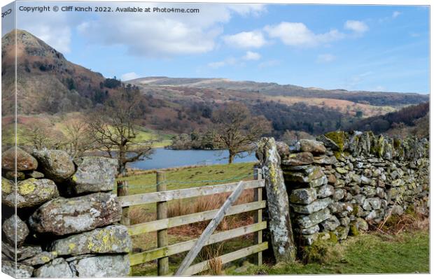 View over Rydal Water Canvas Print by Cliff Kinch