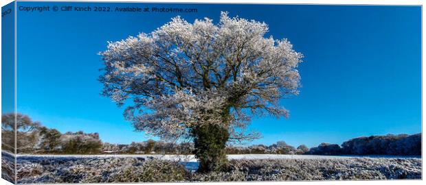 Majestic Oak Tree in Winter Wonderland Canvas Print by Cliff Kinch