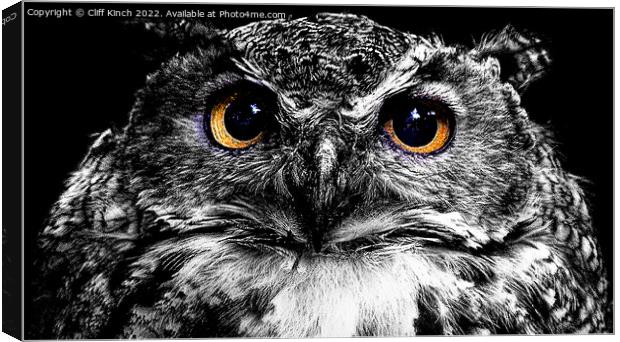 Abstract staring owl Canvas Print by Cliff Kinch