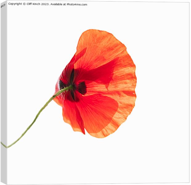 Fiery Remembrance Canvas Print by Cliff Kinch