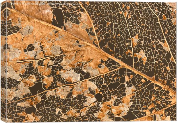 Leaf decay abstract Canvas Print by Cliff Kinch