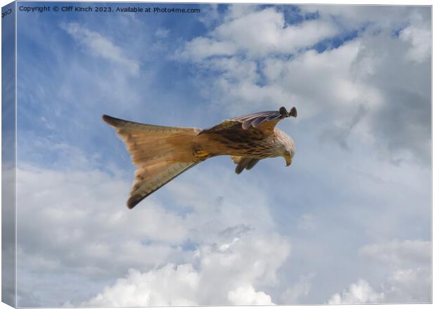 Red Kite in Flight Canvas Print by Cliff Kinch