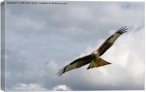 Soaring Red Kite: Sky's Symphonic Ballet Canvas Print by Cliff Kinch