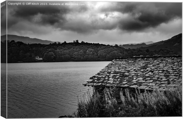Windermere shore Canvas Print by Cliff Kinch