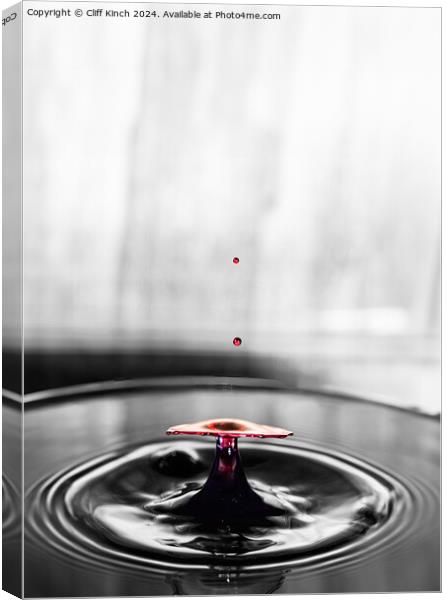 Water drop collision Canvas Print by Cliff Kinch