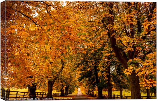 Autumn Canopy Canvas Print by Cliff Kinch