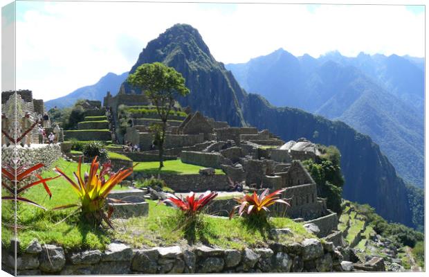 Machu Picchu,Peru Canvas Print by Mervyn Tyndall