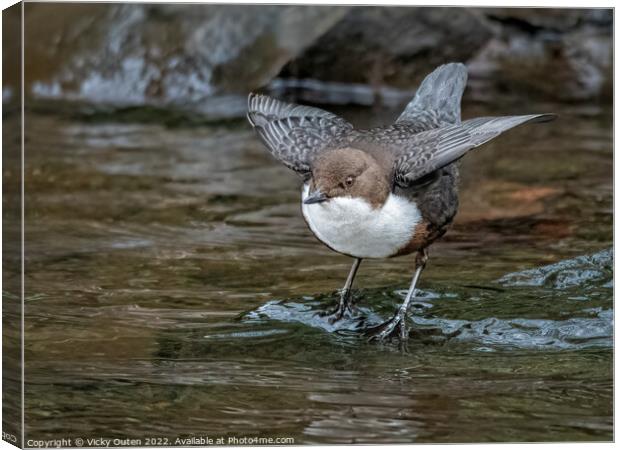 A dipper standing next to a body of water Canvas Print by Vicky Outen
