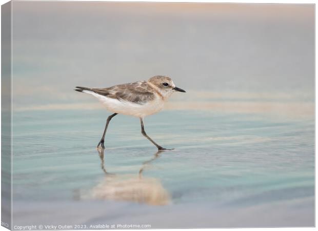 A kentish plover standing on a beach near a body of water Canvas Print by Vicky Outen