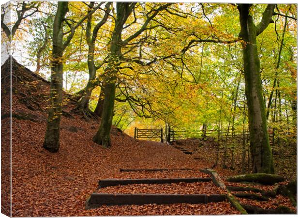 Autumn at Daisy Nook, Stockport Canvas Print by Vicky Outen
