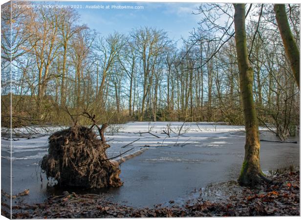 A fallen tree in a frozen pond with snow on fallen Canvas Print by Vicky Outen
