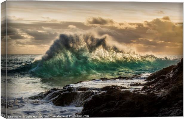 Backwash Canvas Print by Julie Hartwig