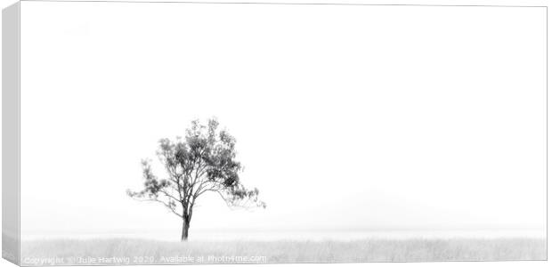 One Tree in the Mist Canvas Print by Julie Hartwig
