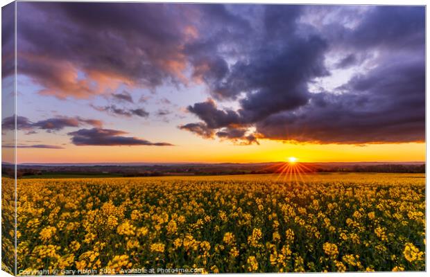 Sunset over a field of rapeseed Canvas Print by Gary Holpin