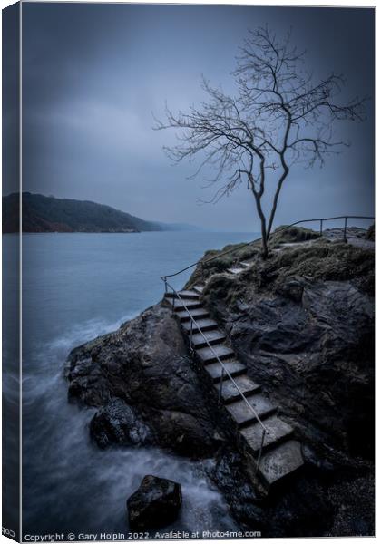 Moody day at the Babbacombe tree Canvas Print by Gary Holpin