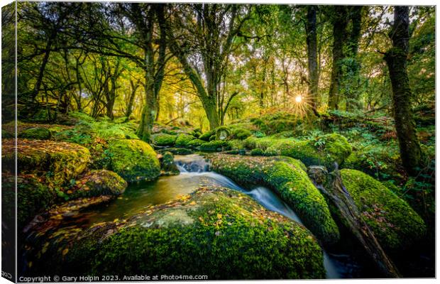 Autumn on the Becka Brook Canvas Print by Gary Holpin