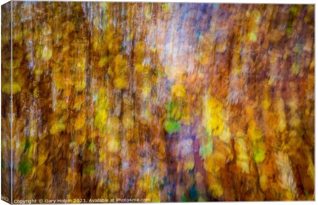Impressions of autumn leaves Canvas Print by Gary Holpin