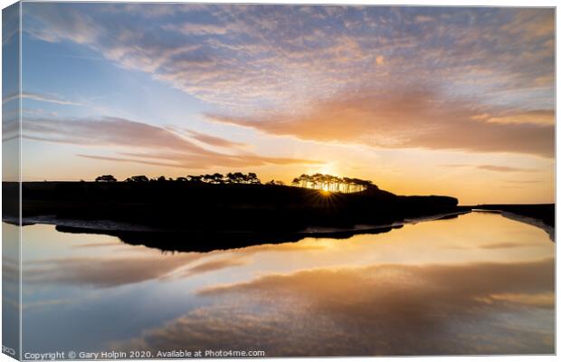 Sunrise over the iconic treeline at Budleigh Salterton Canvas Print by Gary Holpin