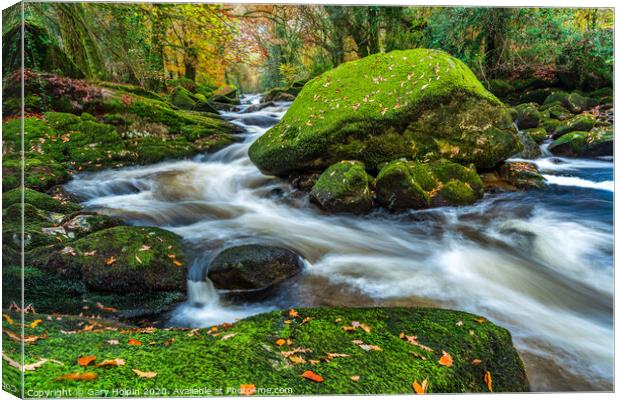 Autumn on the River Avon Canvas Print by Gary Holpin
