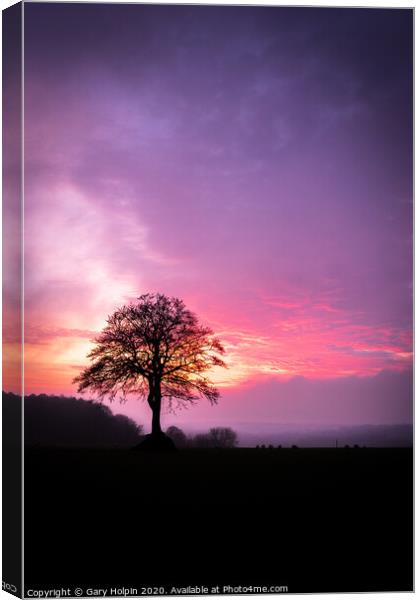 Lone tree at sunset Canvas Print by Gary Holpin
