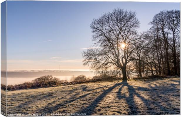 Shadows of a tree on a frosty Devon hilltop Canvas Print by Gary Holpin