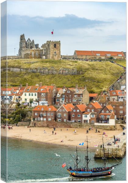 Whitby Harbour and Abbey Canvas Print by Patrick Metcalfe