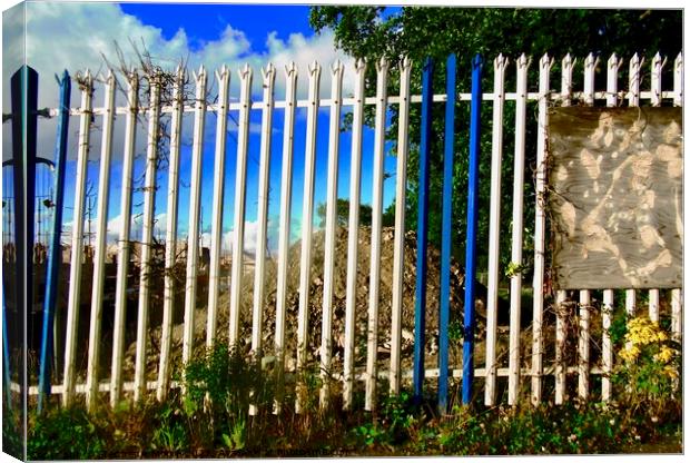 Painted metal fence Canvas Print by Stephanie Moore