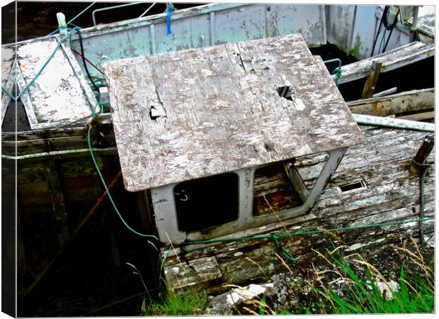 Abandoned  boats Canvas Print by Stephanie Moore